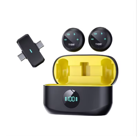 Microphone Sans Fil Professionnel